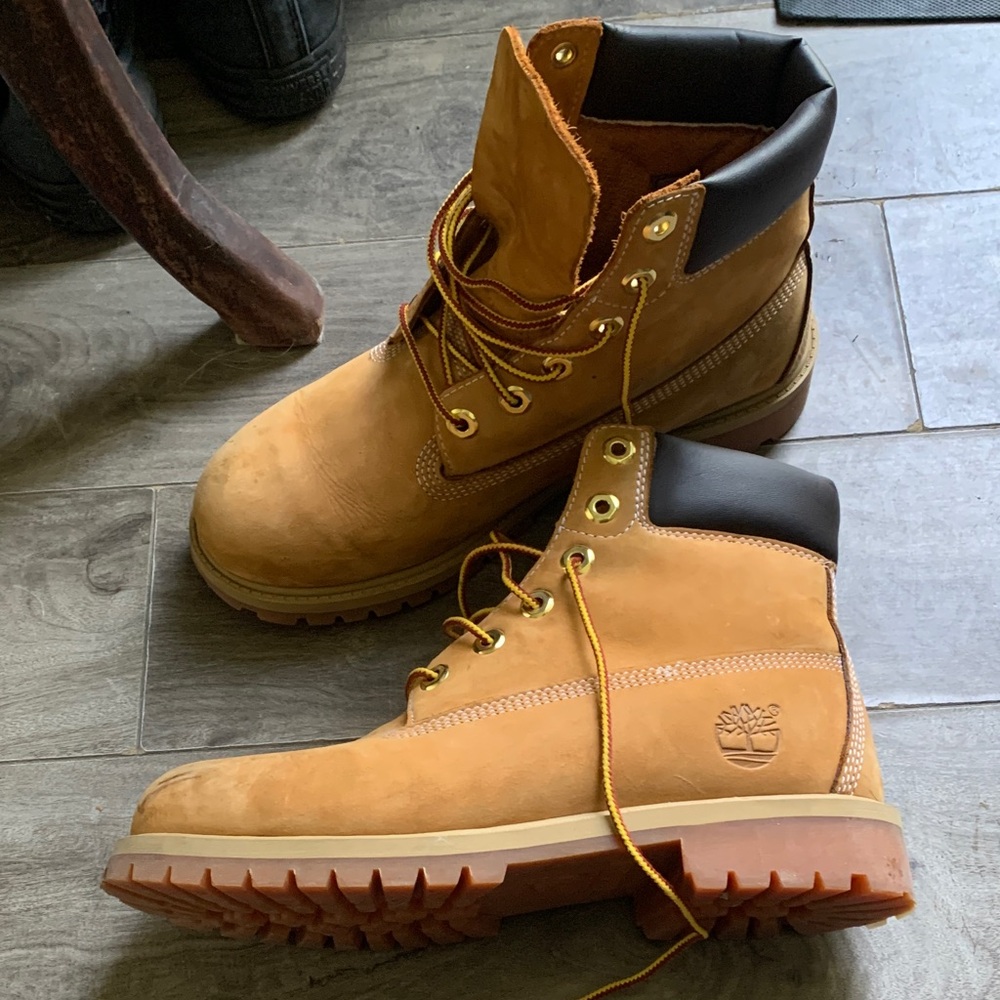 Timberland Men's Wheat Nubuck Boots